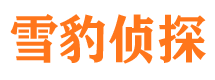 滨州外遇出轨调查取证